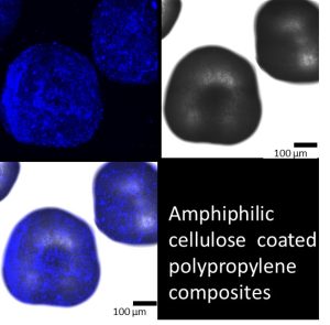 Diagram showing amphiphilic cellulose coated polypropylene composites
